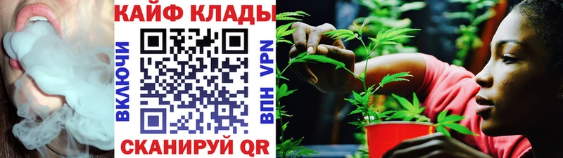 Магазины продажи наркотиков Шахунья Альфа ПВП  МЕГА зеркало  Меф мяу мяу  Канабис  КОКАИН 