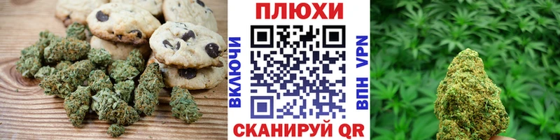 гидра рабочий сайт  Шахунья  Cannafood конопля 
