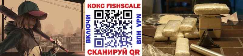 Кокаин FishScale  ОМГ ОМГ сайт  Шахунья 