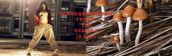 гидропоника Белоозёрский