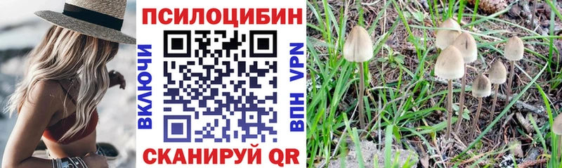 Псилоцибиновые грибы мухоморы  Шахунья 